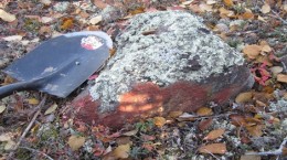 Radioaktives Gestein auf dem Gibbon's Creek-Projekt von ALX Uranium; Foto: Lakeland Resources