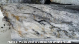 Sichtbares Gold in Vererzung; Quelle: Blackham Resources